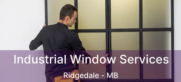  Industrial Window Services Ridgedale - MB