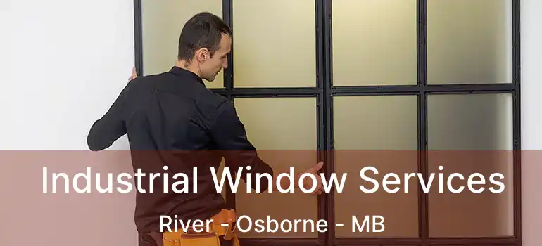  Industrial Window Services River - Osborne - MB