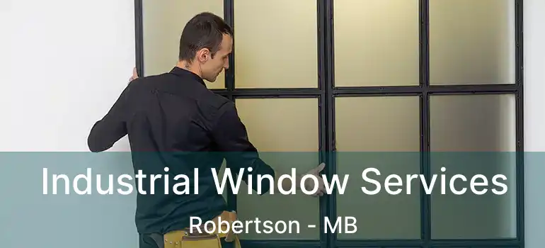  Industrial Window Services Robertson - MB