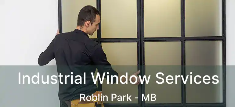  Industrial Window Services Roblin Park - MB