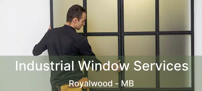  Industrial Window Services Royalwood - MB