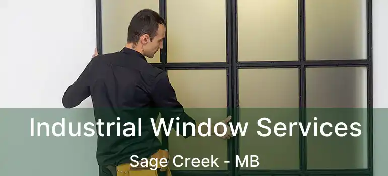  Industrial Window Services Sage Creek - MB