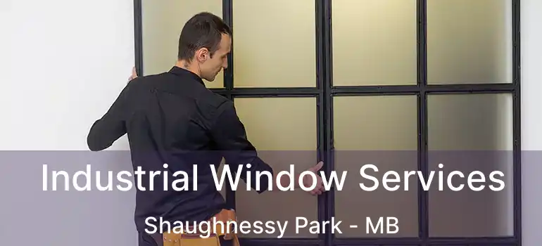  Industrial Window Services Shaughnessy Park - MB