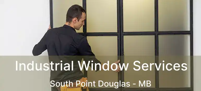  Industrial Window Services South Point Douglas - MB