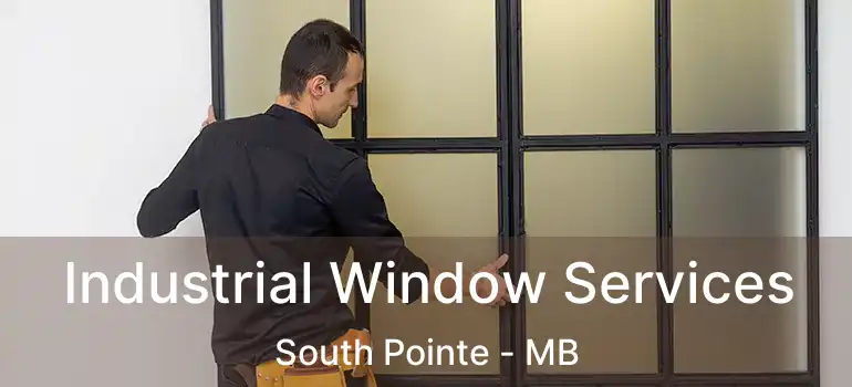  Industrial Window Services South Pointe - MB