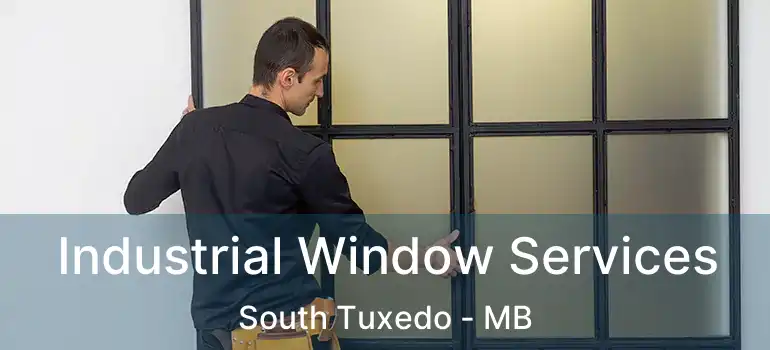  Industrial Window Services South Tuxedo - MB