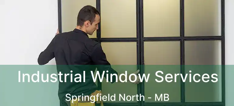  Industrial Window Services Springfield North - MB