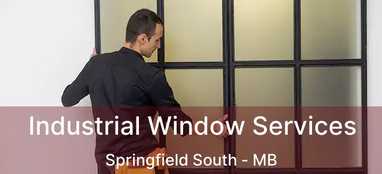  Industrial Window Services Springfield South - MB