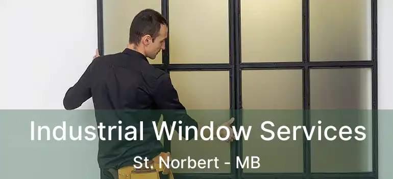  Industrial Window Services St. Norbert - MB
