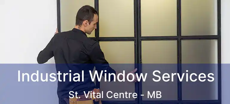 Industrial Window Services St. Vital Centre - MB