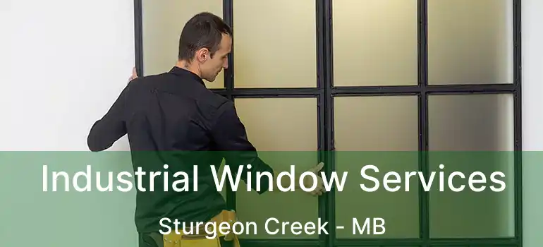 Industrial Window Services Sturgeon Creek - MB