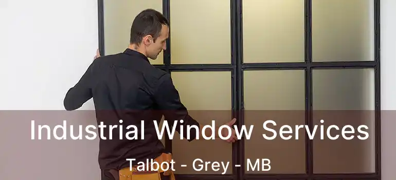  Industrial Window Services Talbot - Grey - MB