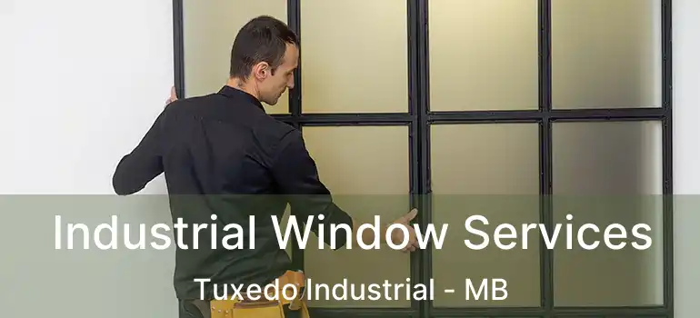  Industrial Window Services Tuxedo Industrial - MB