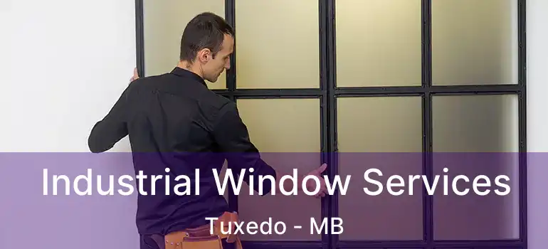  Industrial Window Services Tuxedo - MB