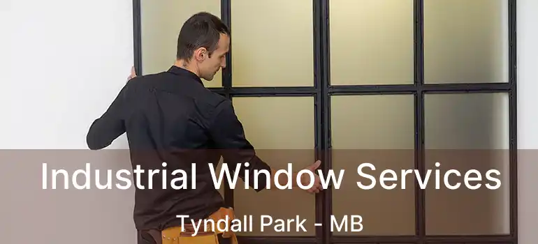 Industrial Window Services Tyndall Park - MB