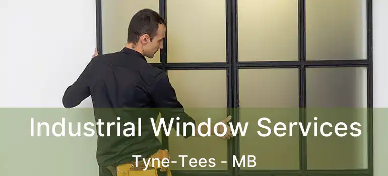  Industrial Window Services Tyne-Tees - MB