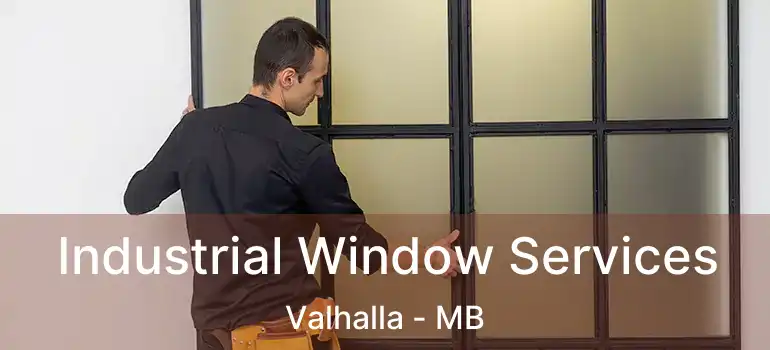  Industrial Window Services Valhalla - MB