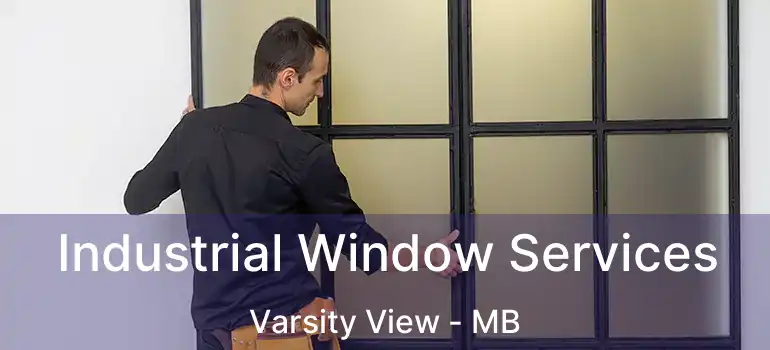  Industrial Window Services Varsity View - MB