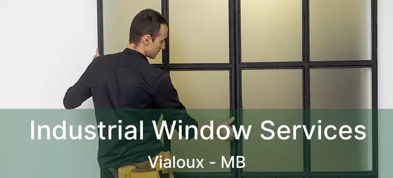  Industrial Window Services Vialoux - MB
