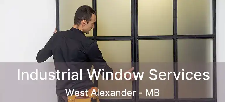  Industrial Window Services West Alexander - MB