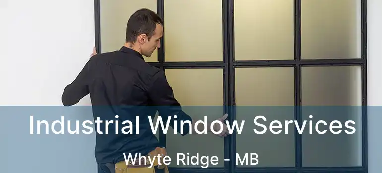 Industrial Window Services Whyte Ridge - MB