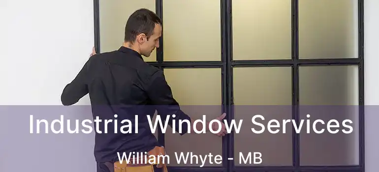  Industrial Window Services William Whyte - MB