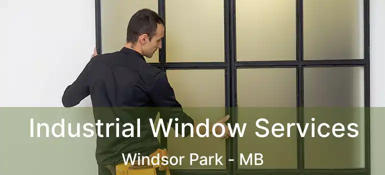  Industrial Window Services Windsor Park - MB