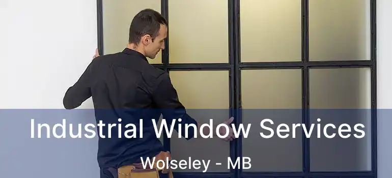  Industrial Window Services Wolseley - MB