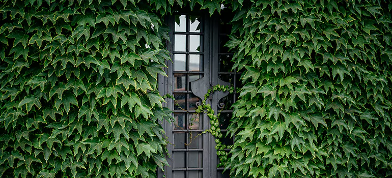 Garden Gate Repair in Winnipeg, MB