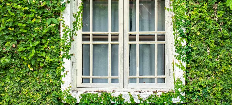 arden Window Repair Near Me in Winnipeg, MB