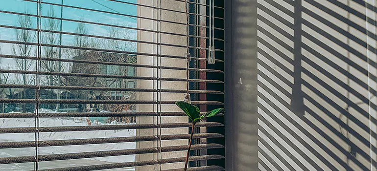 Commercial Window Blinds in Leila - McPhillips Triangle, MB
