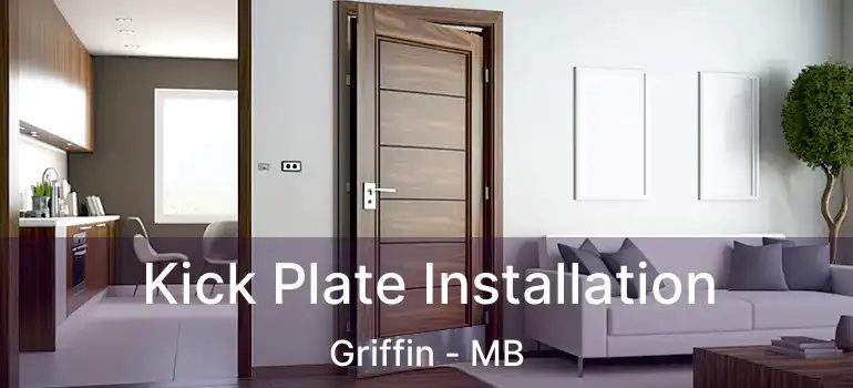  Kick Plate Installation Griffin - MB