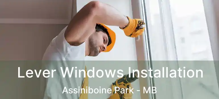  Lever Windows Installation Assiniboine Park - MB
