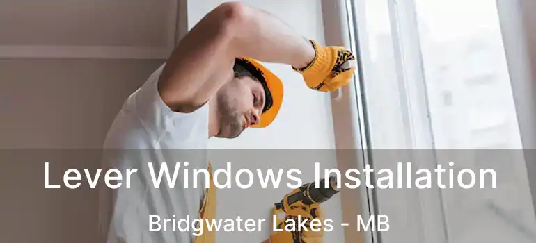  Lever Windows Installation Bridgwater Lakes - MB