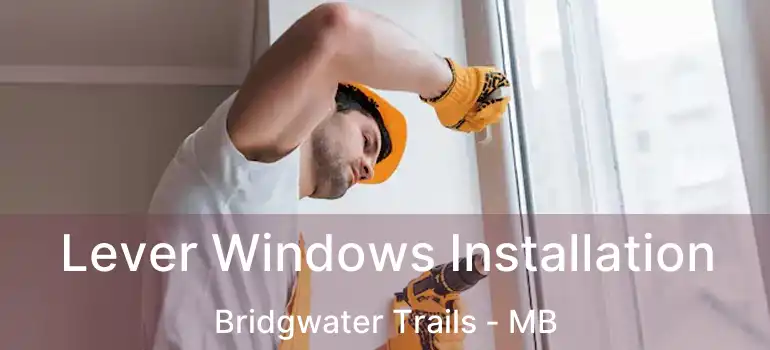  Lever Windows Installation Bridgwater Trails - MB