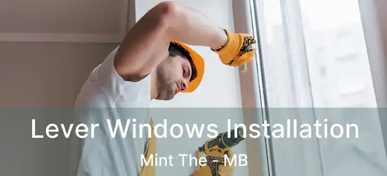  Lever Windows Installation Mint The - MB