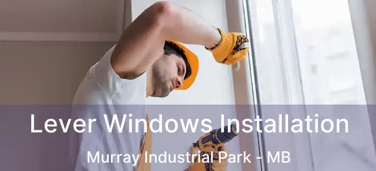  Lever Windows Installation Murray Industrial Park - MB