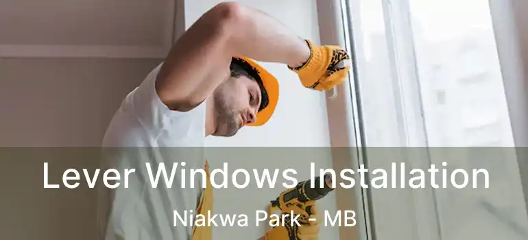  Lever Windows Installation Niakwa Park - MB