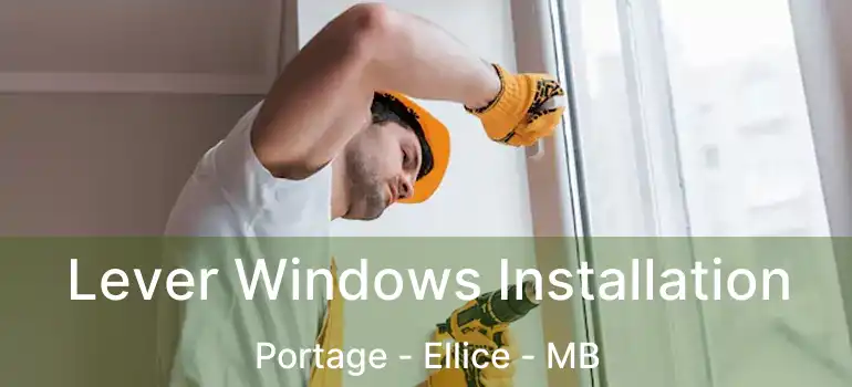  Lever Windows Installation Portage - Ellice - MB
