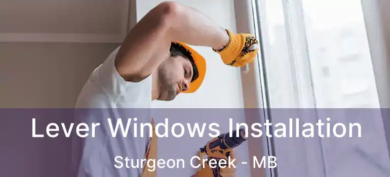  Lever Windows Installation Sturgeon Creek - MB