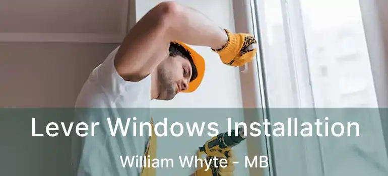  Lever Windows Installation William Whyte - MB