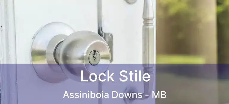  Lock Stile Assiniboia Downs - MB