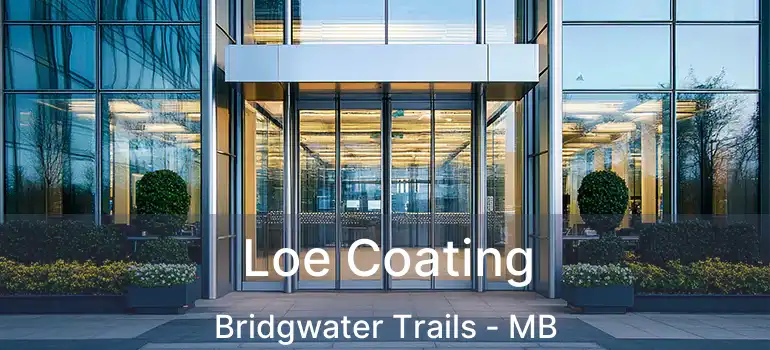  Loe Coating Bridgwater Trails - MB