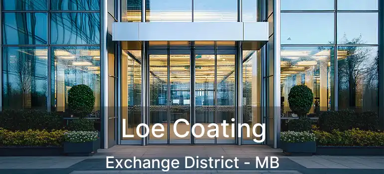  Loe Coating Exchange District - MB