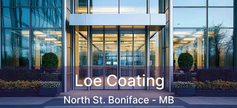  Loe Coating North St. Boniface - MB