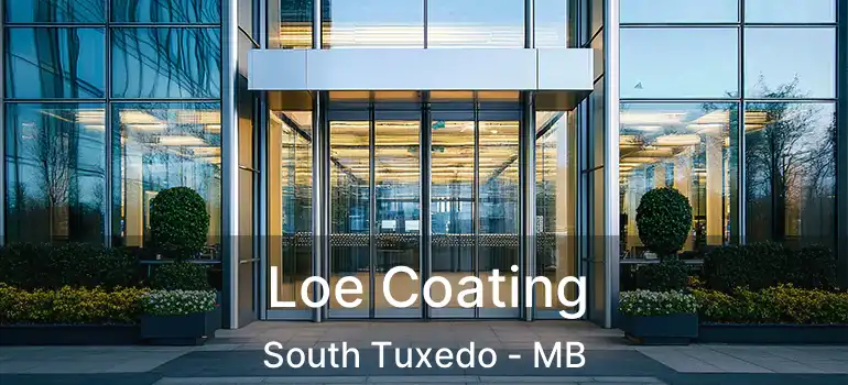  Loe Coating South Tuxedo - MB