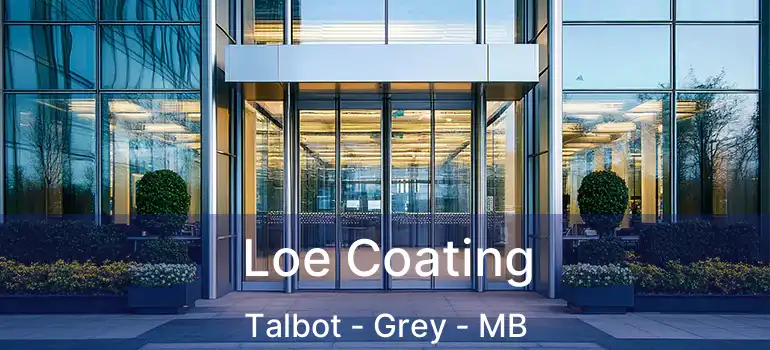  Loe Coating Talbot - Grey - MB