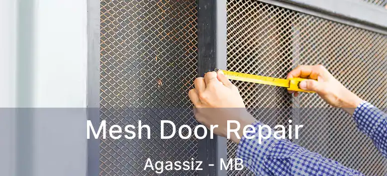  Mesh Door Repair Agassiz - MB