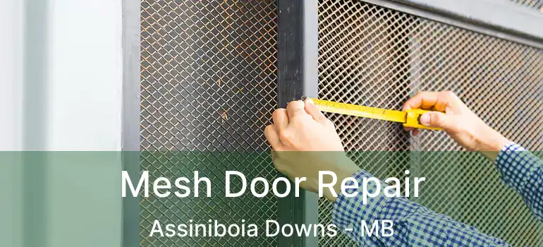  Mesh Door Repair Assiniboia Downs - MB
