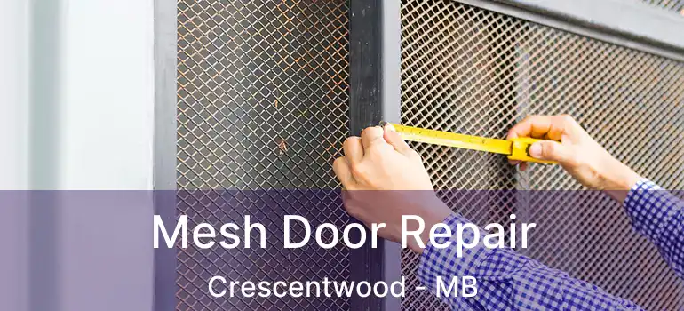  Mesh Door Repair Crescentwood - MB